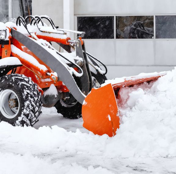 projekt bez nazwy (5)